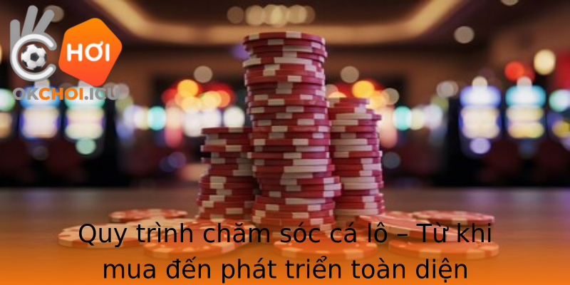 Quy trình chăm sóc cá lô – Từ khi mua đến phát triển toàn diện